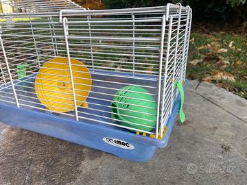 Casetta per criceto IMAC🐹👌💓