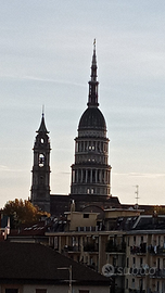 Grazioso appartamento