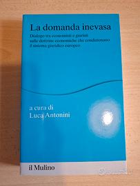 La domanda inevasa, di Luca Antonini.
