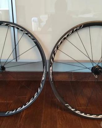 Ruote Vittoria 