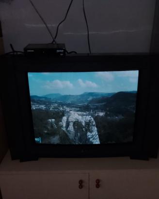 Televisore LG CF-29C46T TV Anni 90