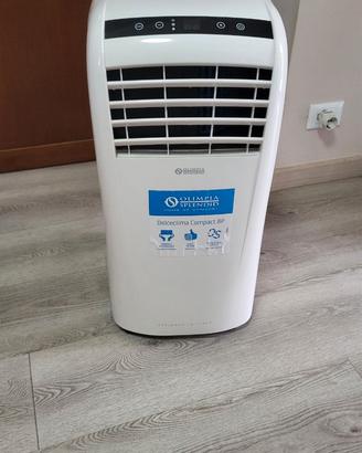climatizzatore portatile olimpia splendid