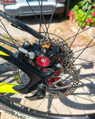 specialized in carbonio 