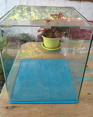 acquario 60 litri 