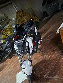 Benelli Tornado - 2017