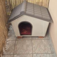 cuccia per cane