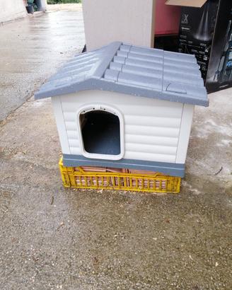 casetta per animali piccola taglia