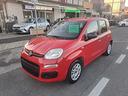 fiat-panda-1-2-gpl-69cv-unipro-tagliandata