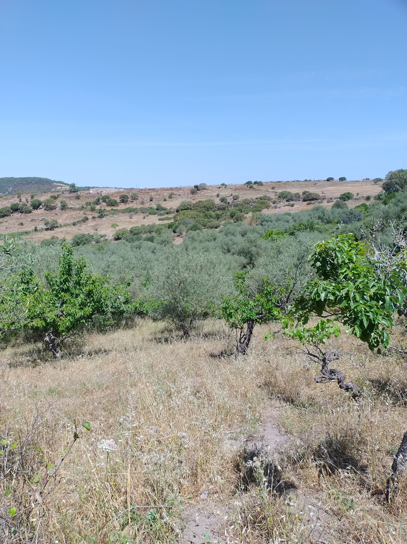 Terreno agricolo - Vista 5