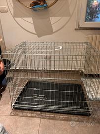 Kennel cani