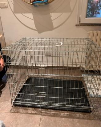 Kennel cani