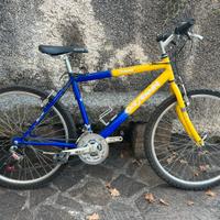 Bicicletta mtb