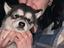 Immagine 3