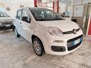 fiat-panda-1-2-easy-5-posti