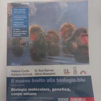 Libro usato scuola secondaria di secondo grado