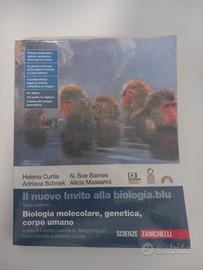 Libro usato scuola secondaria di secondo grado