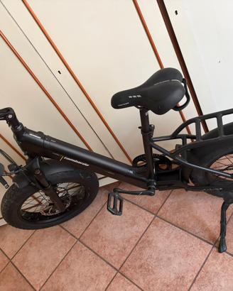Bicicletta elettrica