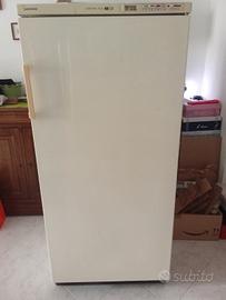 congelatore 