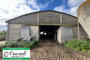 Immobile di 700 m² a Ladispoli