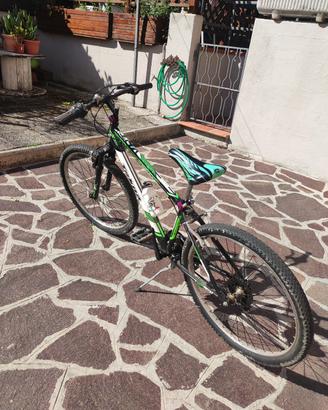mountain bike ragazzo