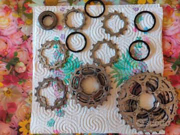 Cassetta Campagnolo Chorus 11V