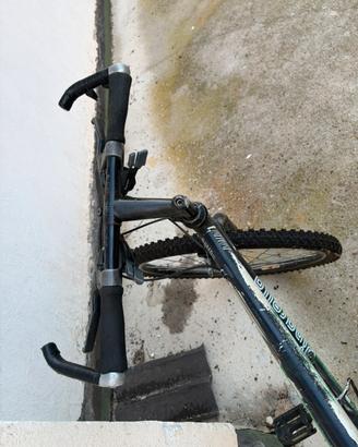 Pinarello