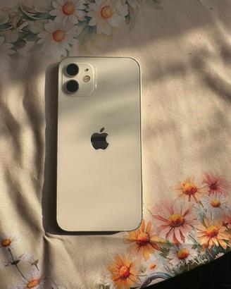 iPhone 12 256