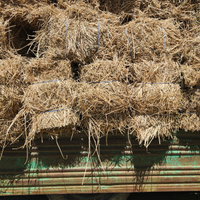 Fieno primo taglio 2025