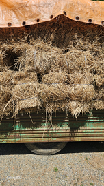 Fieno primo taglio 2025