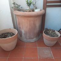 Vasi terracotta per esterni, balcone e giardini