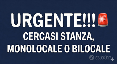 Stanza/ monolocale/bilocale a prato