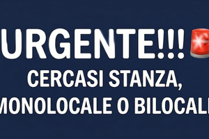 Stanza/ monolocale/bilocale a prato