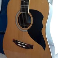 Chitarra acustica Eko con custodia 