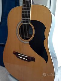 Chitarra acustica Eko con custodia 