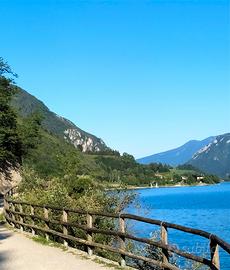 Insegnanti e Smart Working in Trentino