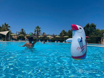 Bilocale in Residence