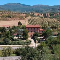 Castelfranco di sopra (botriolo)