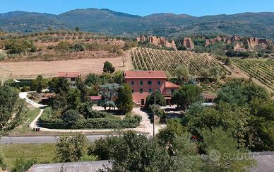 Castelfranco di sopra (botriolo)