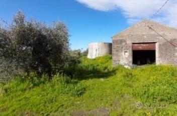Terreno 28.500 mq recintato con depositi e gebbia - Vista 2