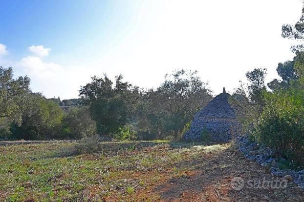 Terreno agricolo a Putignano