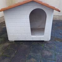 Casetta cuccia per cane