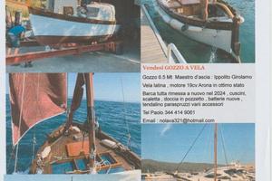 Gozzo con vela latina Ippolito Girolamo