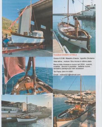 Gozzo con vela latina Ippolito Girolamo