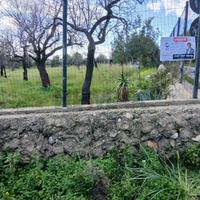 Terreno Edificabile - Avola
