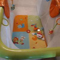 Box Brevi modello Circus
