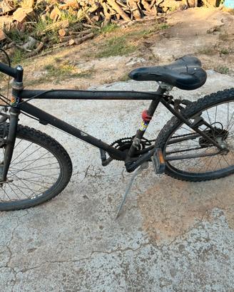 Bicicletta