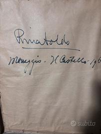 Quadro Rina Soldo - Chiari Bs