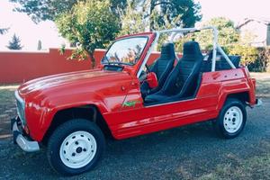 reanault 4 frog stupenda