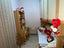 Immagine 12