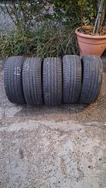 5 gomme estive